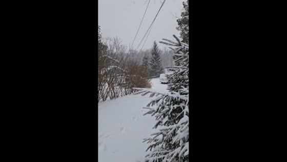 Early snow buildup blankets Hampton, New Jersey, USA
