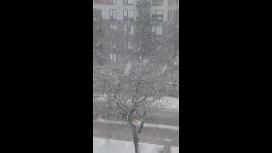 Heavy snowfall during bomb cyclone in downtown Minneapolis, Minnesota, USA