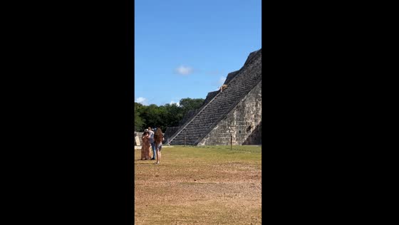Canine conqueror: a fearless pooch ascends the temple of Kukulcan at Chichén Itzá
