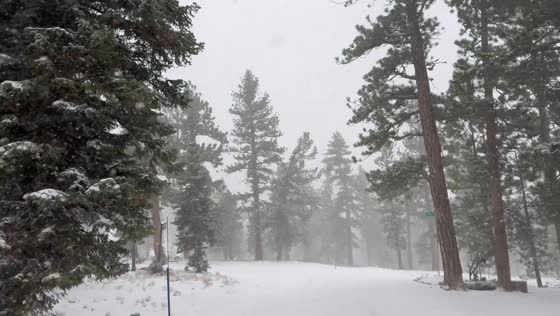 Continuous snowfall blankets Lee Canyon in Nevada, USA
