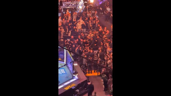 Violent brawl breaks out at UFC 322 inside Madison Square Garden, New York, USA