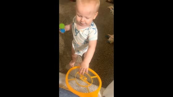 Toddler repeatedly taps electric fly swatter in Jasper, USA