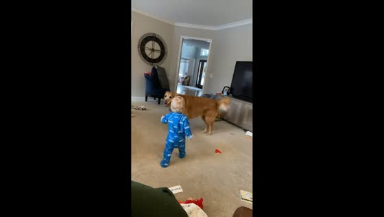 Child joyfully chases pet dog as it playfully dodges in Utah, USA
