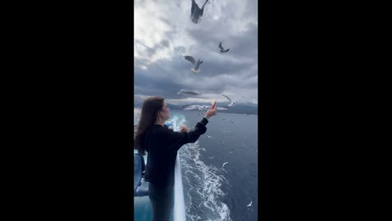 Teen briefly catches a seagull by hand in Thasos, Greece