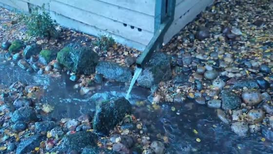 Unexpected creek flow amid rainfall in Santa Cruz Mountains, California, USA