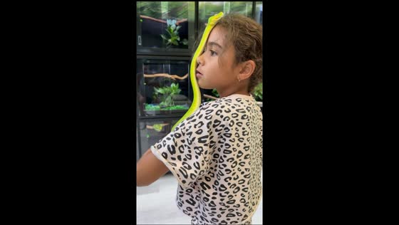 Rainbow Good Eye the snake climbs on little girl in Montana, USA