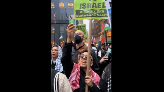 Pro-Palestine protesters rally at World Trade Center, NY, against Gaza conflict