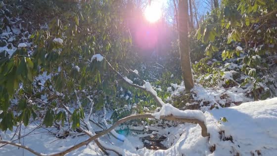 Sunshine illuminates snowmelt along Chattooga River in South Carolina, USA