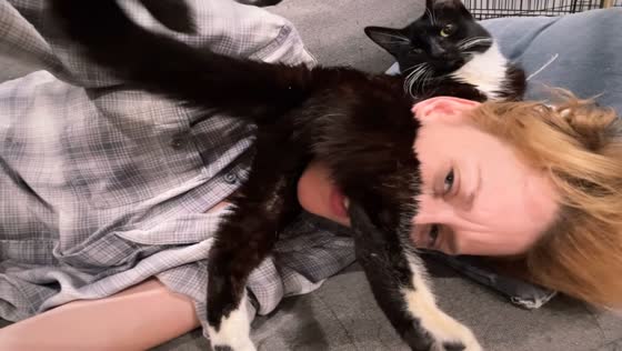 Cat adjusts position after lying on owner’s face in Los Angeles, California, USA
