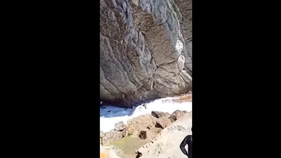 Girl and puppy caught by wave on Crimea's Falcon trail