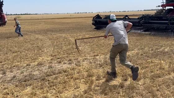 Person uses snake to scare another in Rosario wheat field