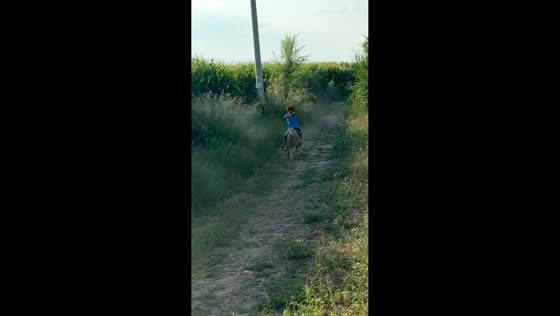 Boy maintains balance while riding a running sheep in Inner Mongolia, China