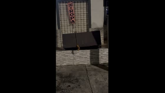 Rope snap disaster: Palmira building descent gone awry