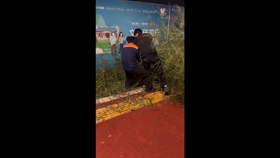 Two men struggle to pull tall grass and fall over in Zhejiang, China