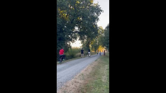 Birthday moped ride ends in hilarious wipeout in France