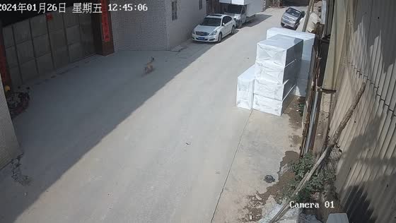 Surveillance footage captures unattended van rolling backwards