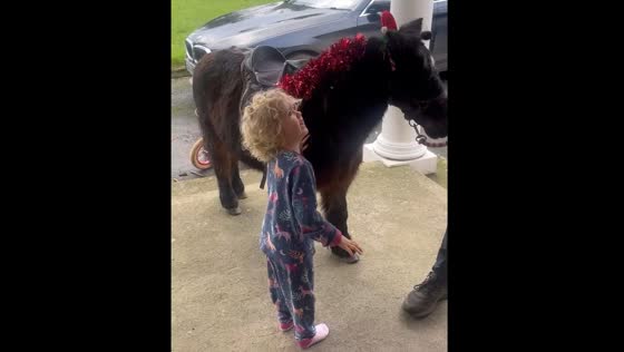 Santa's special gift for Franccesca in Meath, Ireland
