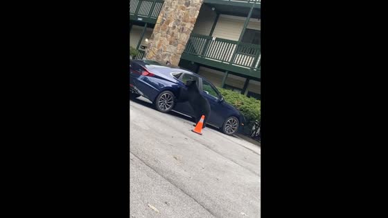 Bear attempts to open car door in Gatlinburg, Tennessee