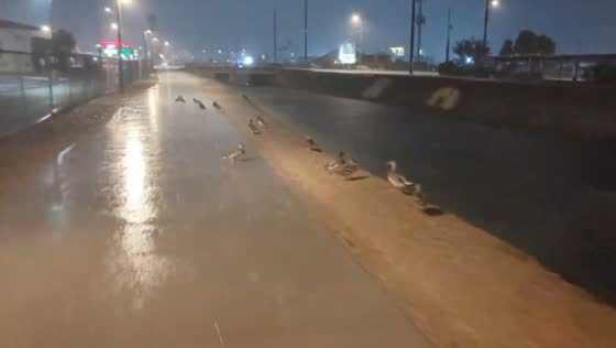 Heavy rain pours during bike ride in Arizona, USA