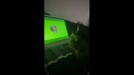 Cat joins spinning cat trend in Oklahoma City