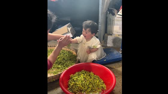 Child keeps scooping tea leaves despite attempts to stop her
