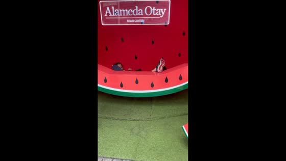 Playful swing mishap between mother and daughter in Tijuana, Mexico