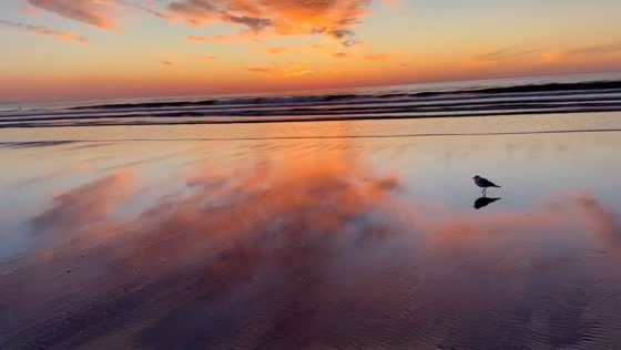 Tranquil sunset beach scene in Ogunquit, Maine