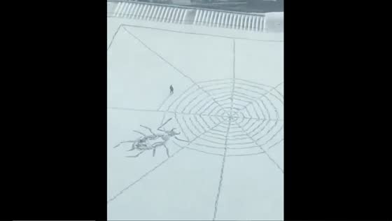 Snow artist: unveiling intricate spider patterns in Shandong's snowy canvas
