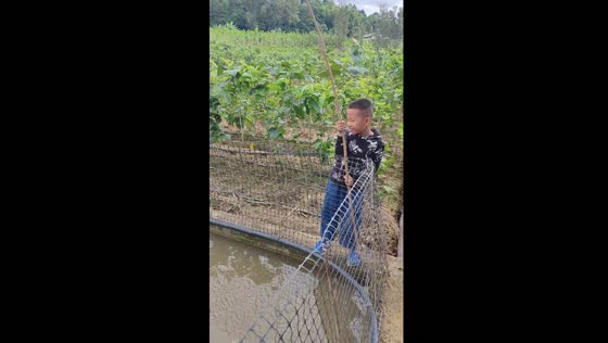 Boy slips and falls after catching fish in Yunnan, China