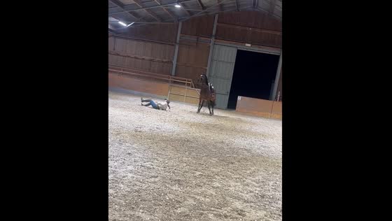 Rider falls off horse in Liège, Belgium