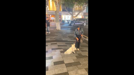 Dog refuses to walk until getting yogurt in Suzhou, China