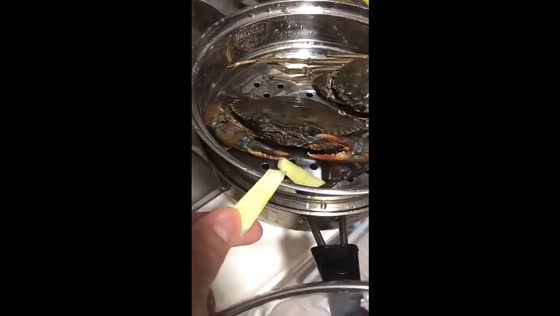 Crab suddenly clamps onto a hand while being offered fruit in Guangdong, China