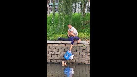 Teamwork rescue saves dog trapped in river in Liaoning, China