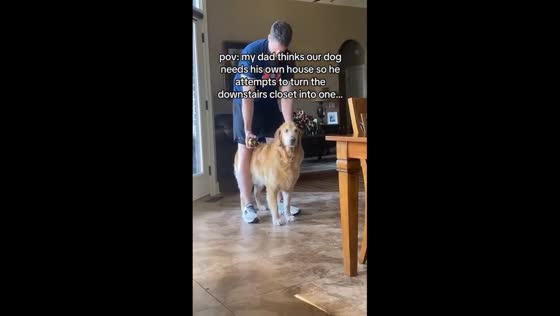 Dad builds heartwarming dog house for beloved Golden Retriever Bentley