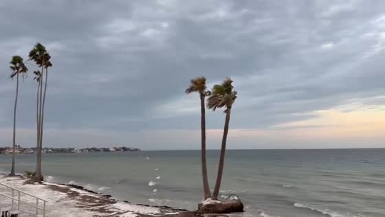 Strong winds and rough water from cold front in St. Petersburg, Florida, USA