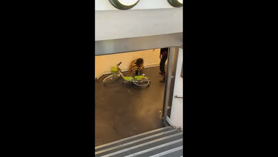 Costumed cyclists ride down subway stairs in Paris, France