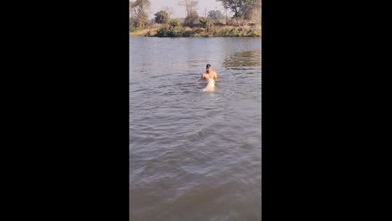 Dog Jenny's lifesaving loyalty: swimming to rescue owner Mitesh