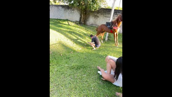Horse riding mishap leaves rider stumbling in Rio de Janeiro, Brazil
