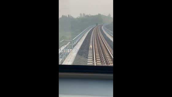 Small animal runs along train tracks in Sichuan, China