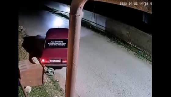 Teenagers deliberately hit child on bicycle in Dagestan, driver detained