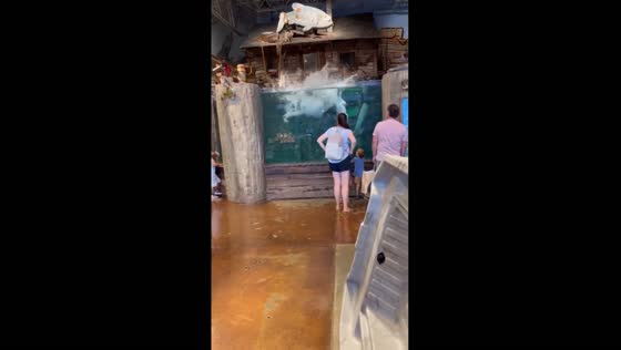 Shocking aquarium dive in Izmir, Turkey