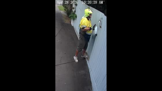 Dog grabs delivered package in Brisbane, Australia