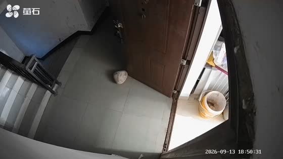Playful dog hilariously keeps kicking door open as owner tries to close it in Hainan, China