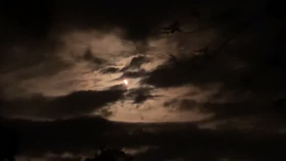 NASA’s Artemis 1 mission heads to the moon after successful launch in Deltona, Florida, USA