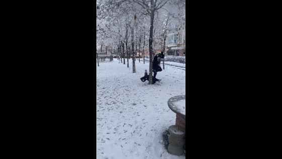 Father accidentally knocks down son while playing in the snow in Xinjiang, China