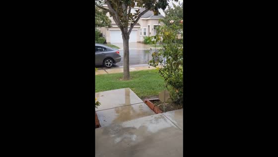 Heavy rainfall drenches residential neighborhood amid severe storms in Los Angeles, USA