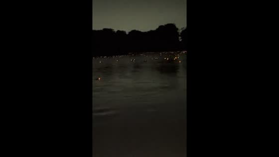 Fisherman encounters alligators while fishing in Amazonas