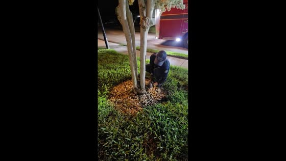 Firefighters rescue trapped owl and help it return to the wild in Wesley Chapel, Florida, USA