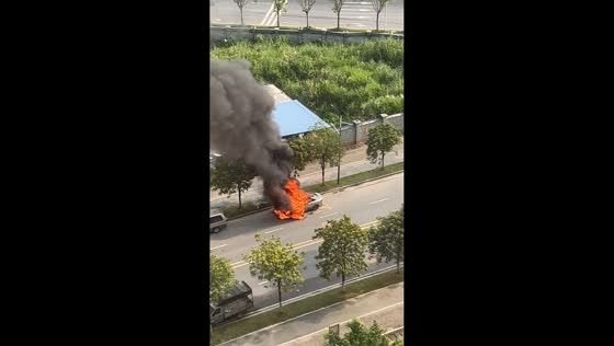 Car engulfed by flames on roadside in Guangdong, China