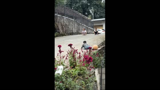 Toddler falls after being struck by a rolling pumpkin in Hubei, China